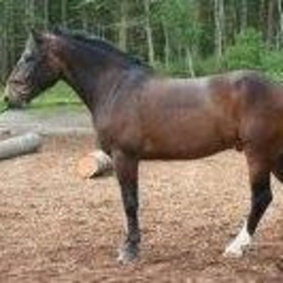 Meet your Posher, Kim - Picture 1 of 1